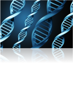 DNA